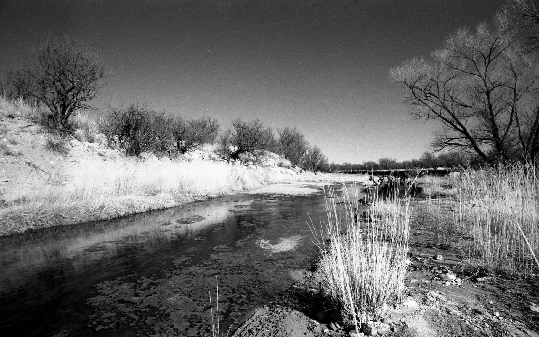 Historic Empire Ranch near Sonoita